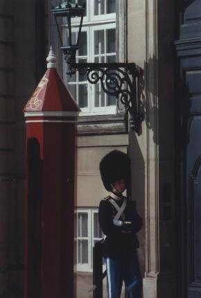GUARD.JPG